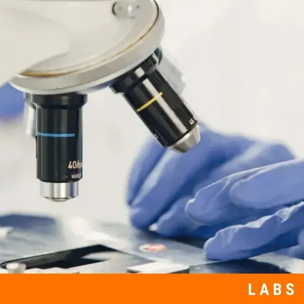 Soundproofing Solutions for Multi-Purpose Lab Spaces