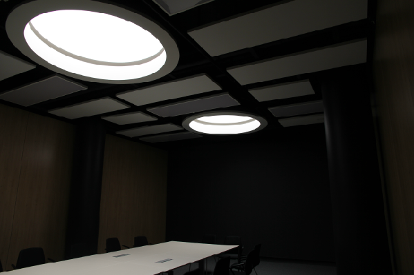 Acoustic Ceiling Baffles in the Litex Tower, Sofia