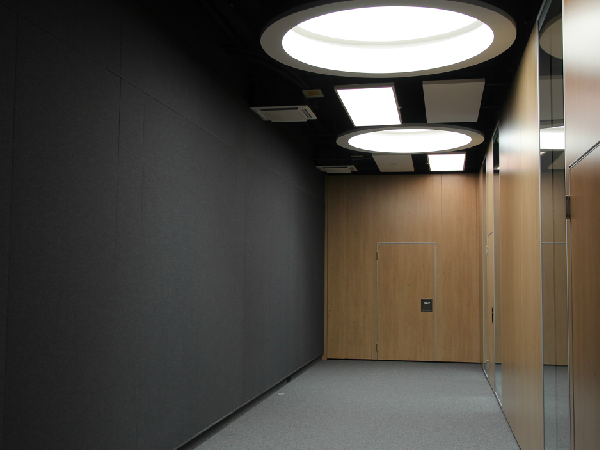 Acoustic Ceiling Baffles in the Litex Tower, Sofia