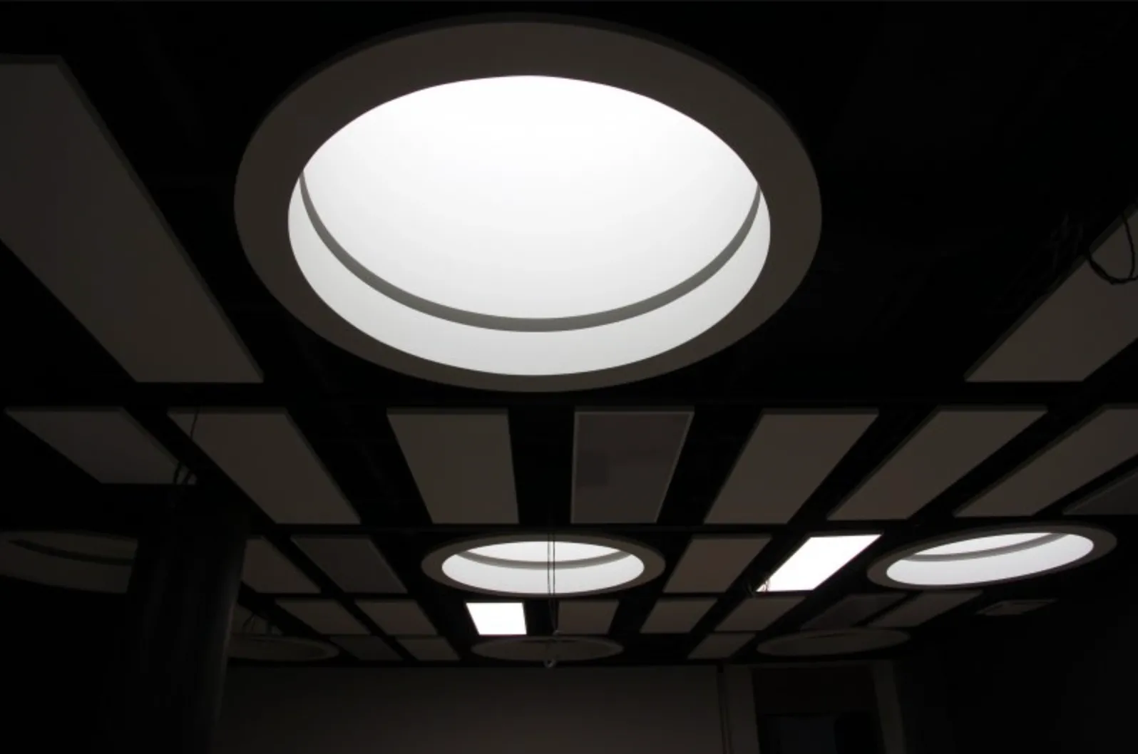 Acoustic Ceiling Baffles in the Litex Tower, Sofia