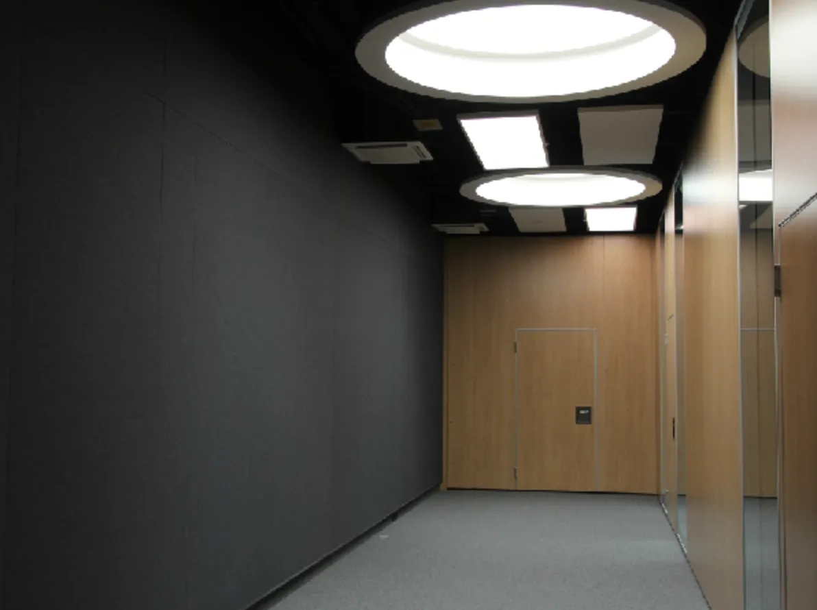 Acoustic Ceiling Baffles in the Litex Tower, Sofia