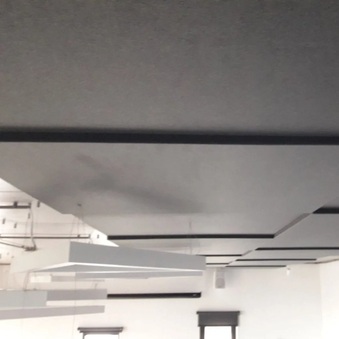 Acoustic Ceiling Treatment for Inkofoods Cafeteria